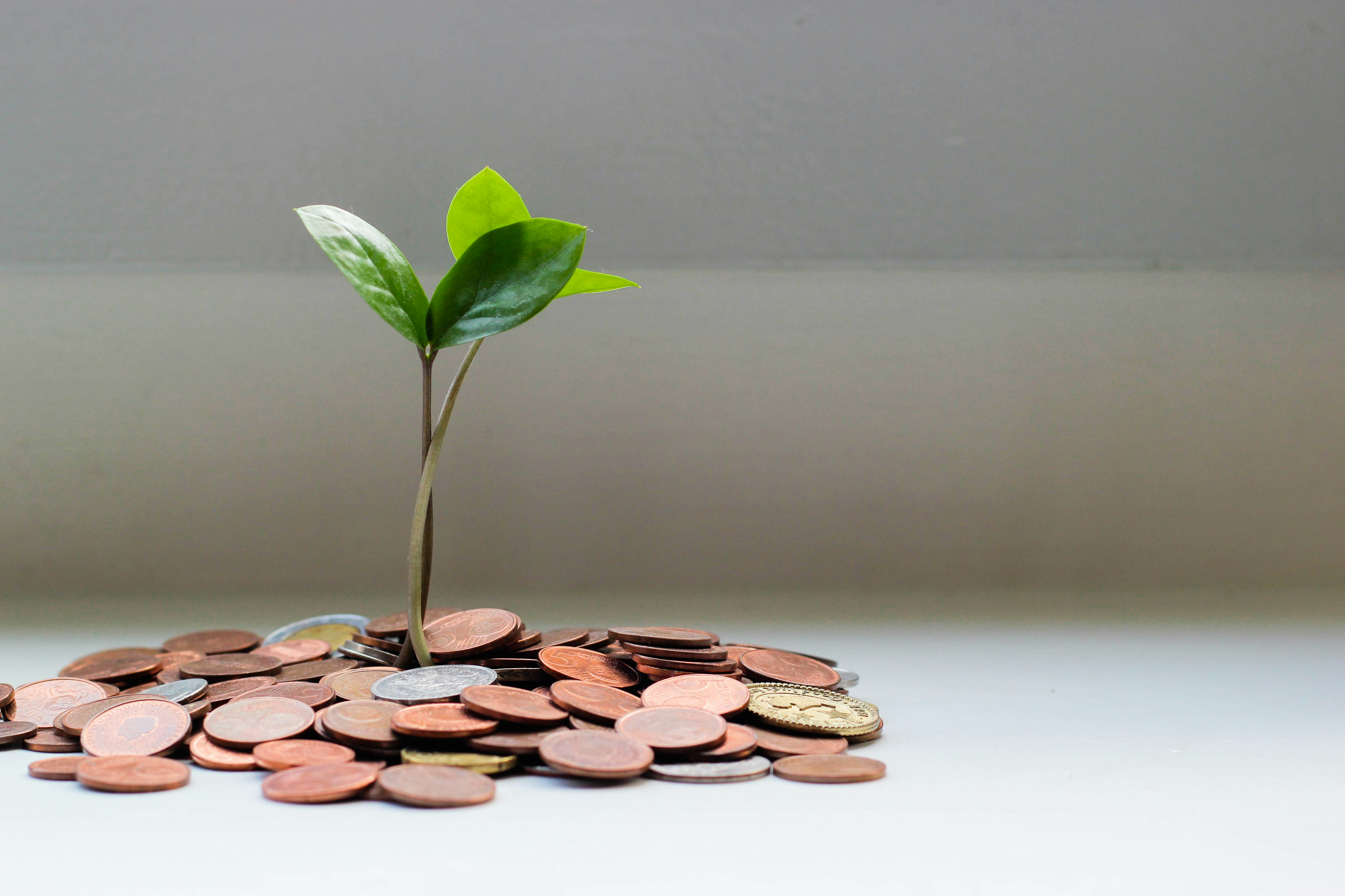Pay day Loan